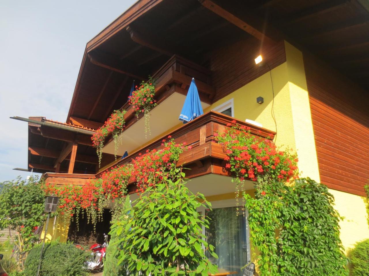 Hotel Alp Inn - Chiemgaukarte Inclusive 鲁波尔丁 外观 照片