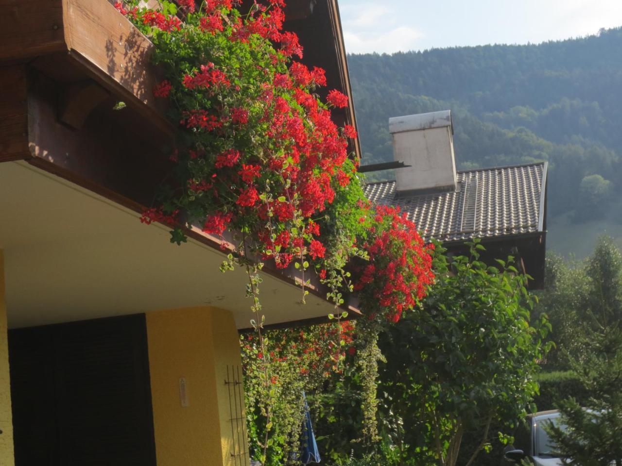 Hotel Alp Inn - Chiemgaukarte Inclusive 鲁波尔丁 外观 照片